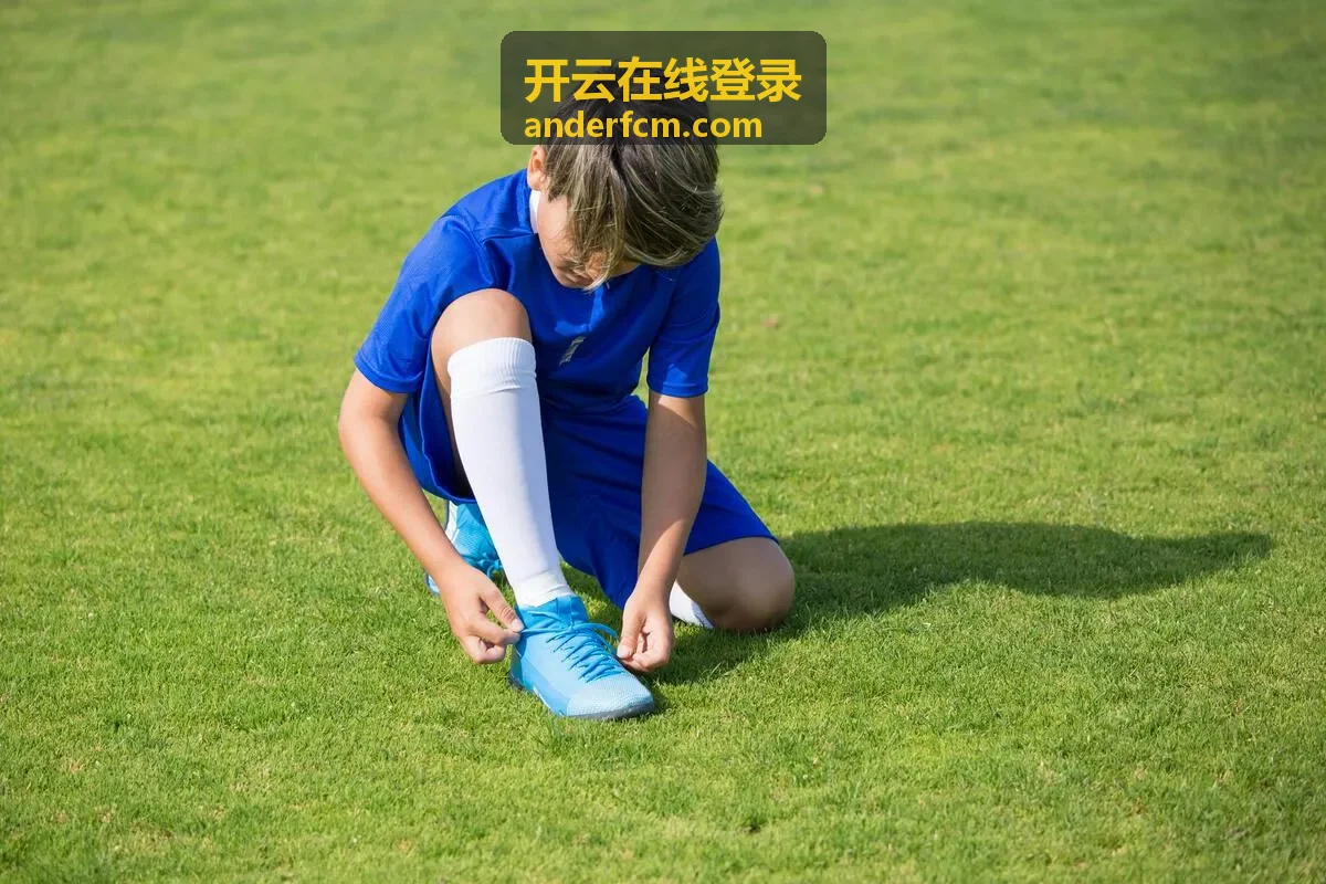 开云在线登录的统一身份入口界面示意