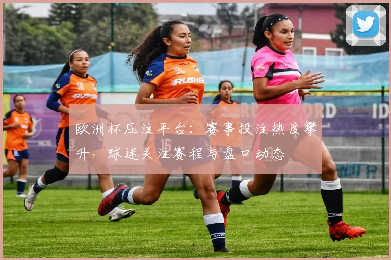 欧洲杯压注平台：赛事投注热度攀升，球迷关注赛程与盘口动态