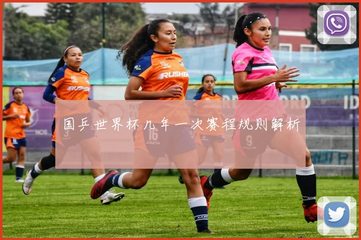 国乒世界杯几年一次赛程规则解析
