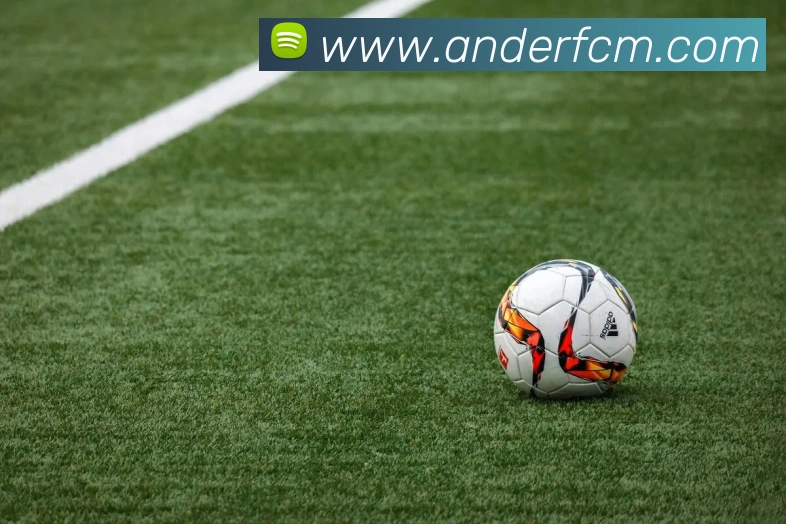 世界杯官方网络平台平台生态图